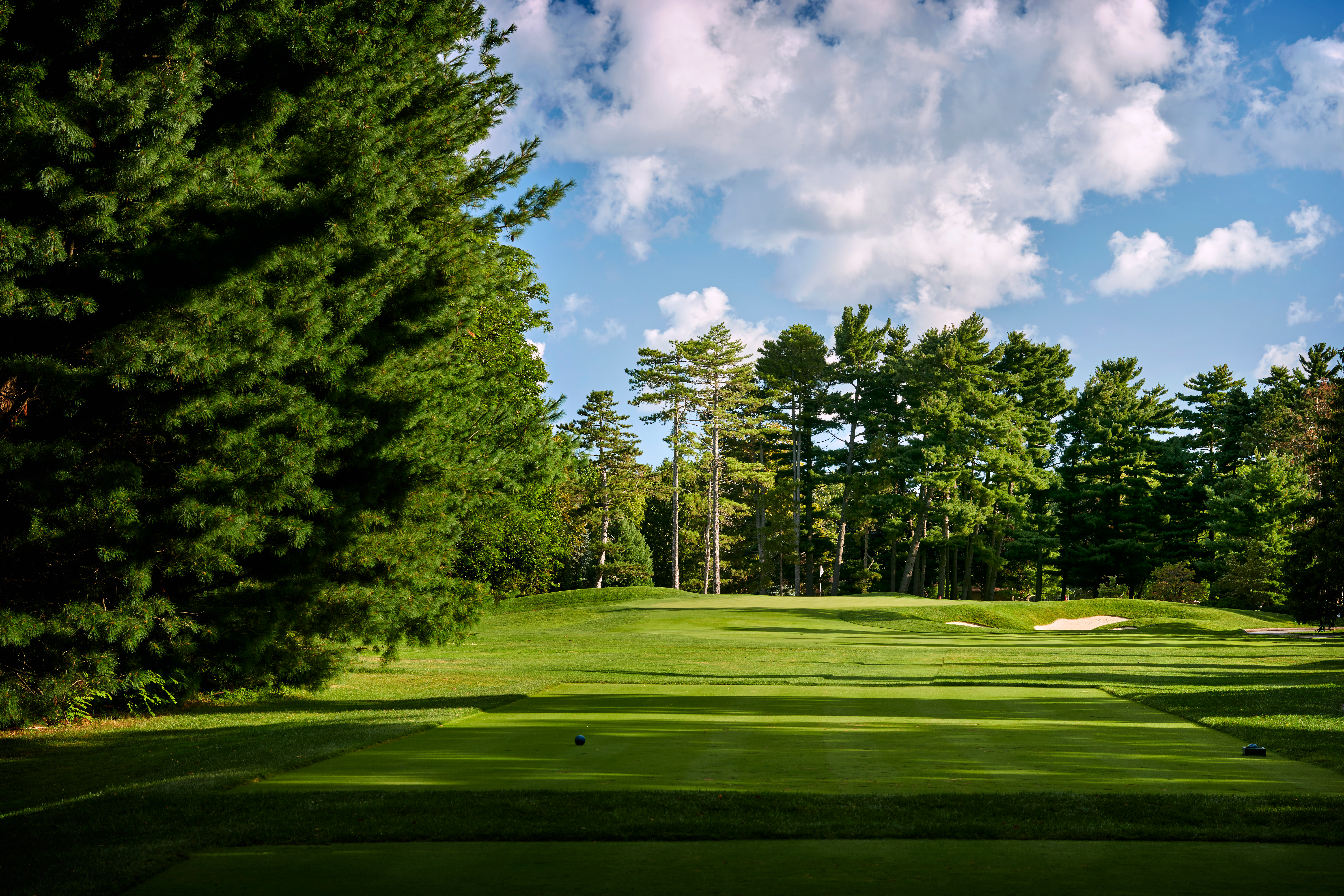 Westwood fairway